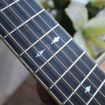 FURCH "Vintage 2 OM SR" HARDCASE image 7