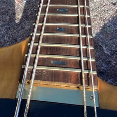 Alembic Exploiter 1983 - Natural image 10