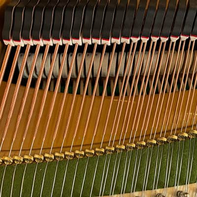 Bechstein A 1910 - Ebony Polish #97593 image 6