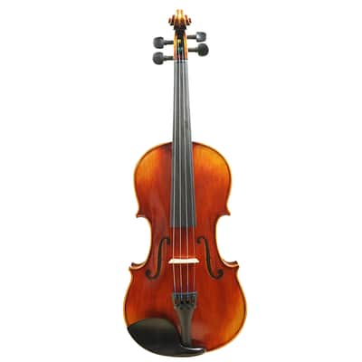 Rosalia 4/4 Violin Outfit, Violin case, Composite Fiberglass Bow image 1
