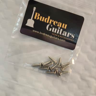 Pickguard Screws set of 12 by Budreau Guitars image 2