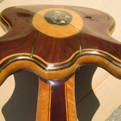 Tiger, Strad-a-Tiger #9. Jerry Garcia's Grateful Dead self built copy 2008-2024 image 8