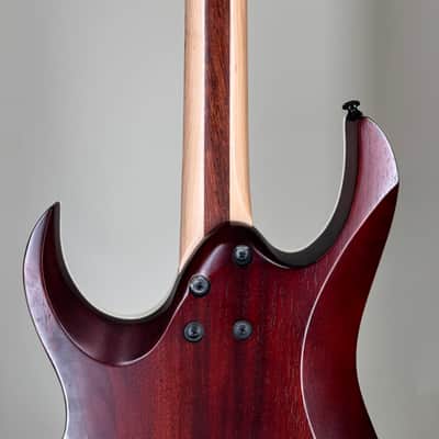 Ibanez RGAIX6FM Gray image 20
