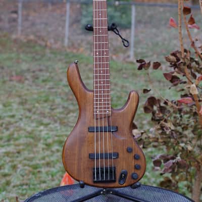 Ibanez EDB555, Upgraded, Light image 2