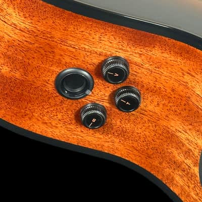 2022 Breedlove Organic Pro Solo CN CE Nylon String Classical w Built-in Electronics ~ Edgeburst image 5
