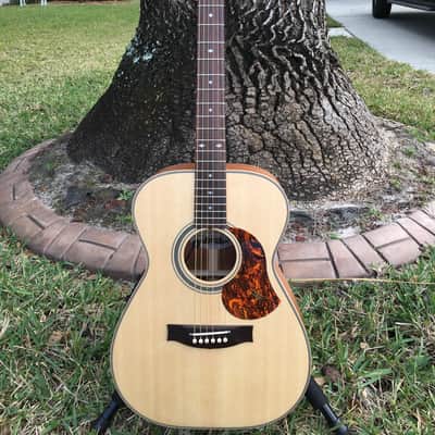 Maton EBG808 Artist image 1
