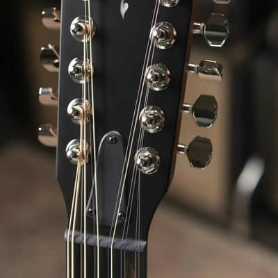 Taylor 454ce 12-String Grand Auditorium Acoustic/Electric Guitar with Hardshell Case image 6