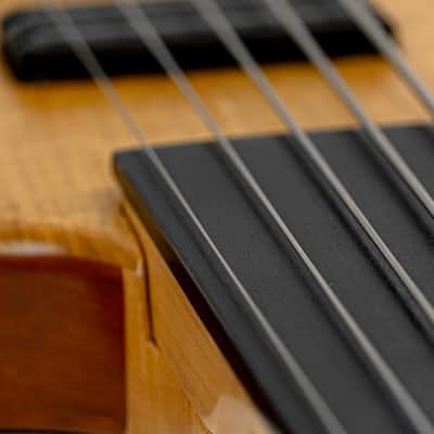 2017 Chris Larkin ASAP DB5 5-String Fretless Headless Bass Guitar w/ 330 Year Old Figured Irish Oak Top, Alumitone Humbucker, RMC Bass Excellence Piezo System, 32” Scale image 9