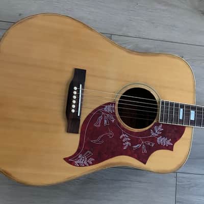 Aria Hummingbird 1979 - Natural Japan Lawsuit Low Action Hard Case image 2