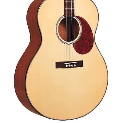 Gold Tone TG-10 Spruce Top Mahogany Neck 4-String Acoustic Tenor Guitar with Hard Case image 1