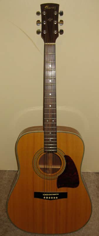 Ibanez Artwood AW100 Acoustic Dreadnought Guitar | Reverb