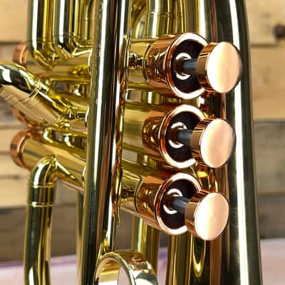 Carol Brass Taylor Phat Puppy Flugelhorn image 5