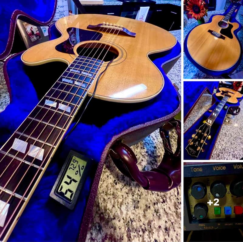 Gibson EC-30 Blues King Electro 1994 - 1999 | Reverb