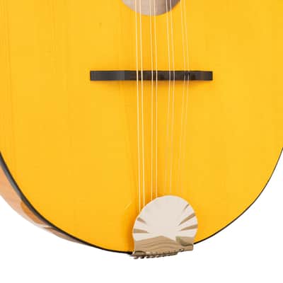 Gold Tone GM-10 Frypan Mandolin image 3