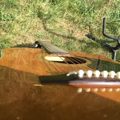 Vintage Penco Morris A14 Acoustic Guitar image 8