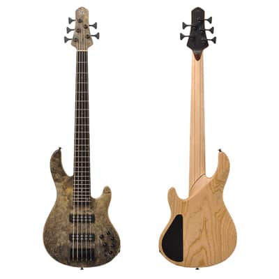 STR Bass #361 DLS549 (Authorized Dealer) Handmade in Japan Buckeye Nordstrand image 1