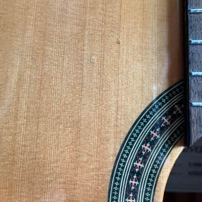 Alvarez Artist Series AC65CE 2020s - Natural image 8