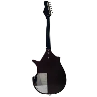 Jerry Jones Coral Sitar Electric Guitar - Owned by Ry Cooder w / COA & VIDEO image 10