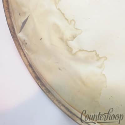 *Gretsch 27" Calf Skin Bass Drum Head Vintage 10s Calfskin Early American Batter image 6