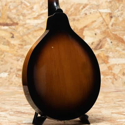 Gibson A-40 1966 image 2