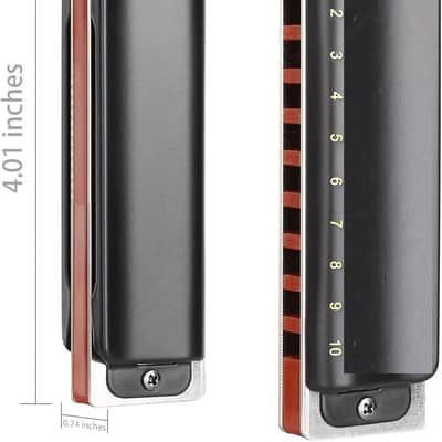 Harmonica Key of G 10 Hole 20 Tone Diatonic Blues Harmonica G with Case Top Grade for Professional Player,Beginner,Gift image 2
