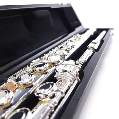 Di Zhao DZ 401 E Flute Open Hole B Foot Split E Silver Lip Intermediate NEW image 1