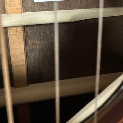 Bedell Breedlove Brazilian Rosewood Brand New With Cities passport image 3