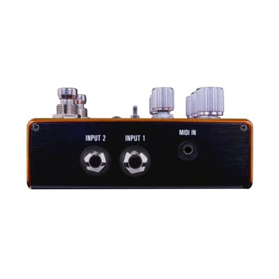 Source Audio Pathways Stereo Reverb & Tremolo Pedal image 4