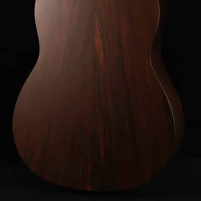 Iris Custom OG Adirondack / Cocobolo (2025) image 14