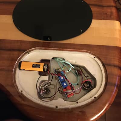 Alembic Spoiler 1982 Vintage Bass w/original case image 11