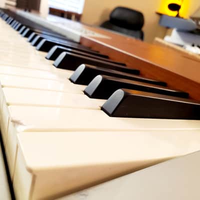 MUST SEE!!! SUZUKI SS100 STAGE PIANO FULLY INSPECTED, SERVICED AND IN AMAZING CONDITION! image 4