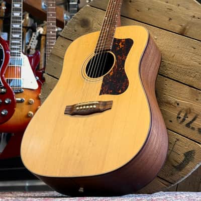 Guild USA DV-6 with Rosewood Back and Sides 2008 - 2011 - Natural Satin image 1