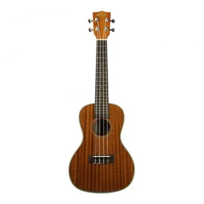 Kala KA-CG Concert Gloss Mahogany Ukulele image 1