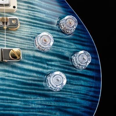 Paul Reed Smith Private Stock Singlecut 594 Walking Zombie Ice Zombie image 7