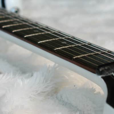 Hamer USA Eclipse Custom Zebra finish image 10