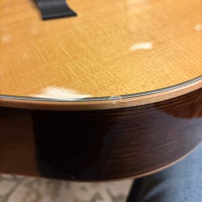 2008 Taylor 816ce Natural image 21