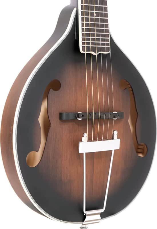 Gold Tone A-6 A-Style Acoustic-Electric Mandolin/Guitar, Solid Spruce Top, Tobacco Burst Satin image 1