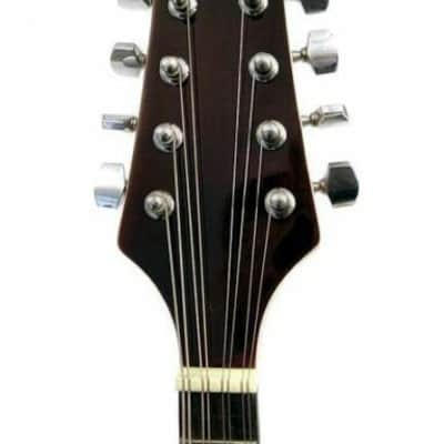 Savannah #SA-100BK A Style Mandolin in a Black Finish w Compensated Bridge image 3