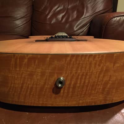 Martin XC1T Ellipse w/Fishman Ellipse Matrix Blend image 4