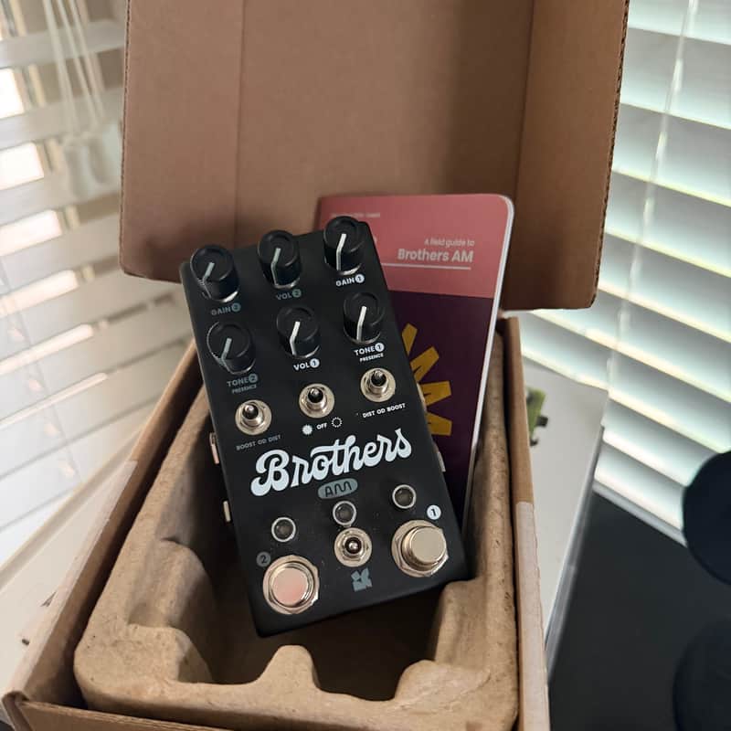 Chase Bliss Audio Brothers AM