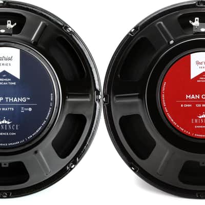 EV Electro Voice DL18MT 18