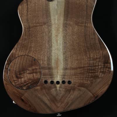 Renaissance Bass RB5 2015 image 13