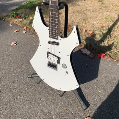 Custom R L James Guitar Custom Animal 2026 - Custom image 25