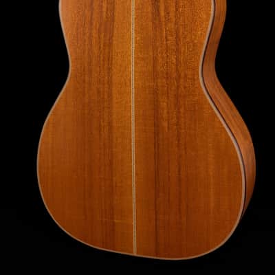 2013 Circle Strings 000, Adirondack/Mahogany image 3