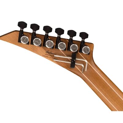 Jackson American Series DK Virtuoso - Specific Ocean image 4