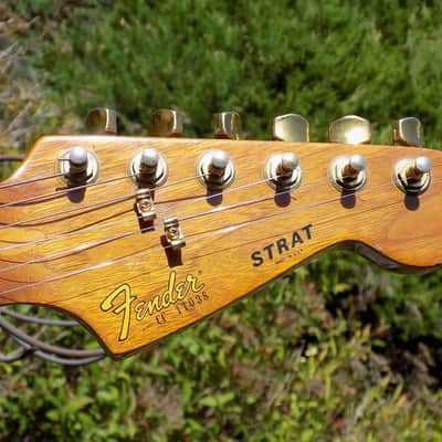 Fender  "The Strat" 1981  - Natural/Walnut image 4