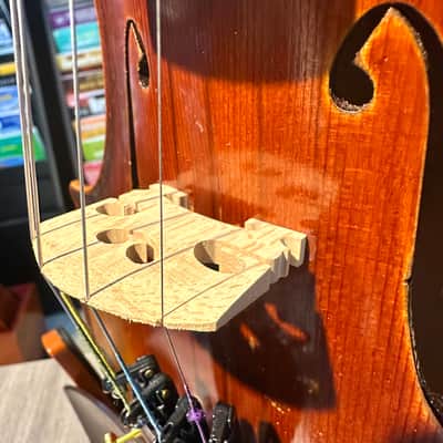 Intermediate 4/4 Violin: Strumenti a Corde 6400 Style B 2019 - Oil varnish image 14