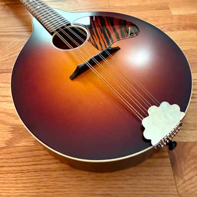 Waterloo Mandolin image 3