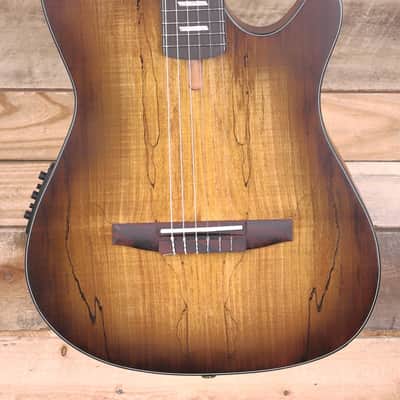 Ibanez FRH20SMN Nylon Acoustic/Electric Guitar Tobacco Burst image 1