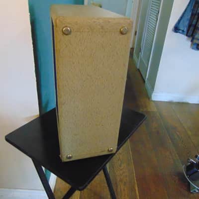 FENDER WHITE / PRINCETON GUITAR AMP 1962 - GREY image 4